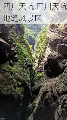 四川天坑,四川天坑地缝风景区