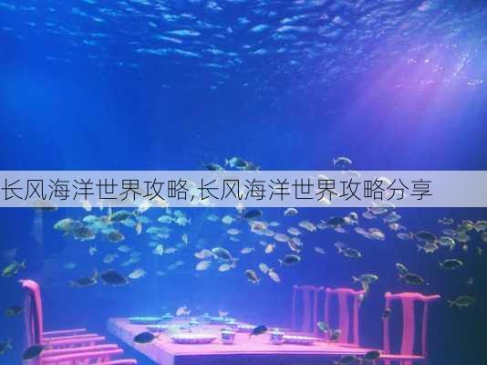 长风海洋世界攻略,长风海洋世界攻略分享