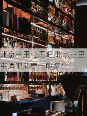 北京三里屯酒吧,北京三里屯酒吧消费一般多少-第3张图片-冬冬旅游网