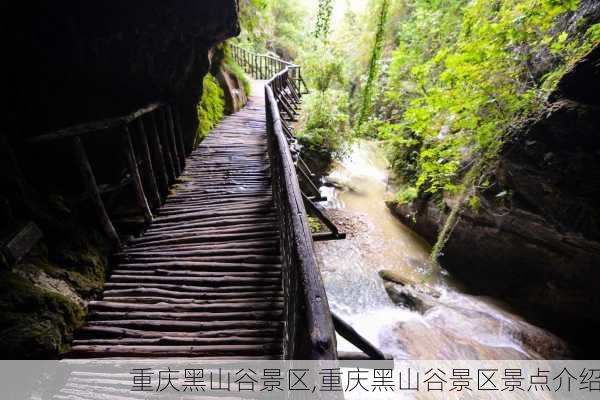 重庆黑山谷景区,重庆黑山谷景区景点介绍-第2张图片-冬冬旅游网