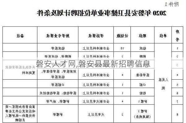 磐安人才网,磐安县最新招聘信息-第2张图片-冬冬旅游网