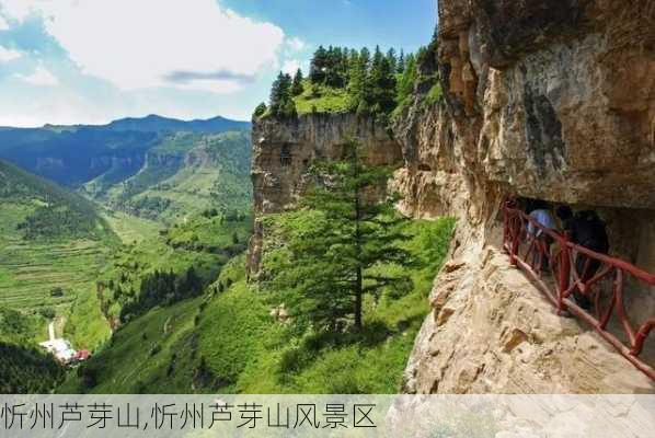 忻州芦芽山,忻州芦芽山风景区-第2张图片-冬冬旅游网