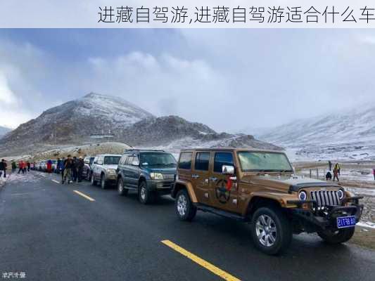 进藏自驾游,进藏自驾游适合什么车-第3张图片-冬冬旅游网