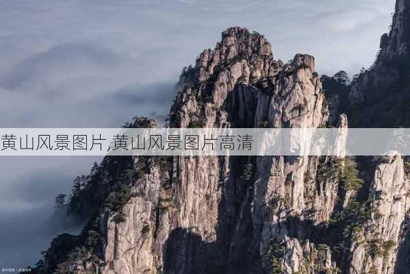 黄山风景图片,黄山风景图片高清