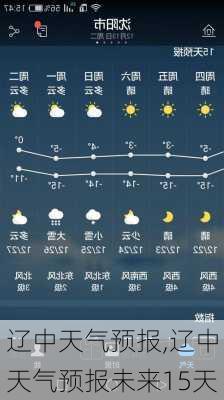 辽中天气预报,辽中天气预报未来15天-第3张图片-冬冬旅游网