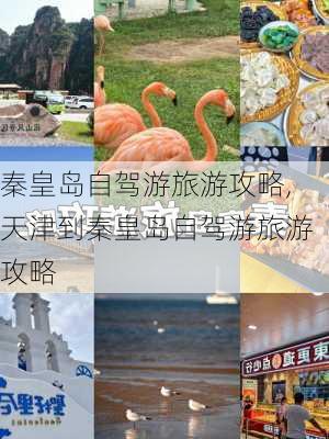 秦皇岛自驾游旅游攻略,天津到秦皇岛自驾游旅游攻略-第3张图片-冬冬旅游网