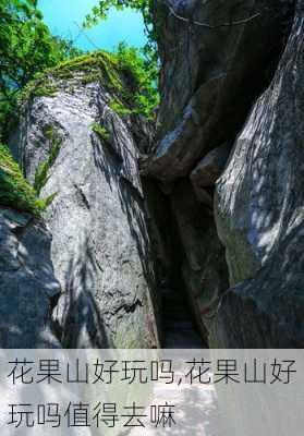 花果山好玩吗,花果山好玩吗值得去嘛-第2张图片-冬冬旅游网